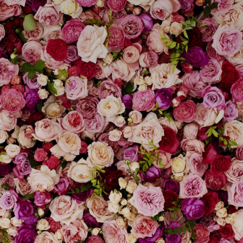 Meet your Posher, Jayannah